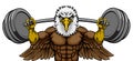 Eagle Mascot Weight Lifting Barbell Body Builder