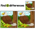 Eagle Animal Find The Differences