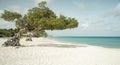 Eagle beach on Aruba island