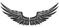 Eagle Bird or Angel Wings Royalty Free Stock Photo