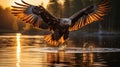 Eagle bird flying at nature lake on sunset sky background. Aninmal and freedom concept. Generative ai