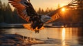 Eagle bird flying at nature lake on sunset sky background. Aninmal and freedom concept. Generative ai