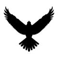 Eagle Bird Flying Silhouette Isolated