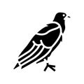 eagle bird glyph icon vector illustration Royalty Free Stock Photo