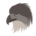 Eagle bird head,  vector illustration,flat style Royalty Free Stock Photo