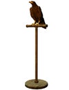 Eagle on bird perch