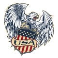 Eagle Bird Wing Annimal Usa America Vector illustration 14