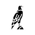 eagle bird in zoo glyph icon vector illustration Royalty Free Stock Photo