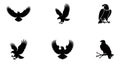 Eagle birds flying and perched flat design vector illustration Royalty Free Stock Photo