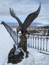 Zlatoust, Chelyabinsk region, Russia, January, 19, 2020. Eagle that brought fish to a chick in the mountain Park named after Bazho