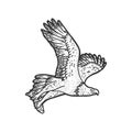 Eagle carries the fish sketch vector illustration