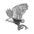 Eagle carries the fish sketch vector illustration