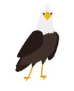 Eagle cartoon bird icon Royalty Free Stock Photo