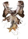 The eagle caught the fish. Watercolor painting Royalty Free Stock Photo