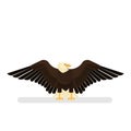 Eagle character. White and black bird. American