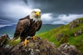 an eagle on a cliff side, storm clouds rolling in Royalty Free Stock Photo