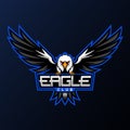 Eagle Sports Club Mascot Logo - Animals Mascot Esports Logo Vector Illustration Design Concept.