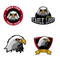 Eagle collections logo. Eagle mascot logo Royalty Free Stock Photo