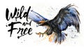 Eagle Wild and Free watercolor colorful painting, big bird predator, design of t-shirt, king of mountains, free fly