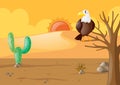 Eagle in the dry desert
