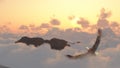 Eagle in flight above the clouds Royalty Free Stock Photo