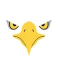 Eagle eyes, Front face Royalty Free Stock Photo