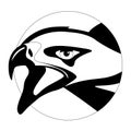 Eagle face head, vector illustration, lining draw, front Royalty Free Stock Photo