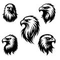 Eagle face silhouette, Eagle head Vector illustration bundle Royalty Free Stock Photo