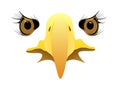 Eagle face Royalty Free Stock Photo