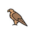 Eagle, falcon, georgian national bird flat color line icon.