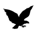 Eagle falcon silhouette