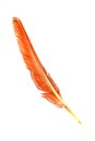 Eagle feather