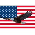 Eagle flag USA