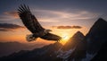An eagle flies majestically against a mountainous backdrop during a sunset Royalty Free Stock Photo