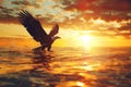An eagle flies over the water at sunset. AIG51A Royalty Free Stock Photo
