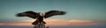 Eagle flies with spread wings and hunts prey against sky and sea background at sunset. Copy space for advertising text Royalty Free Stock Photo