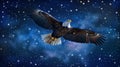 An eagle in flight evokes the feeling of liberty and honor, surrounded by the stars that guide the brave Royalty Free Stock Photo