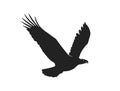 Eagle in flight. isolated vector image of bird of prey