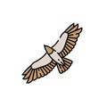 Eagle flight line icon