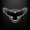 Eagle in flight, logo, symbol.