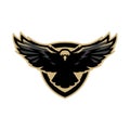 Eagle in flight, logo, symbol. Royalty Free Stock Photo