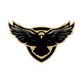 Eagle in flight, logo, symbol.