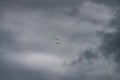 Eagle fly over the snow Mount Everest,sichuan,china Royalty Free Stock Photo