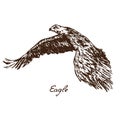 Eagle flying, with inscription, hand drawn doodle Royalty Free Stock Photo