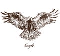 Eagle flying, with inscription, hand drawn doodle Royalty Free Stock Photo