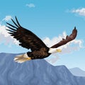 Eagle flying over landscape drawing Royalty Free Stock Photo