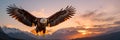 Eagle flying over the mountains Royalty Free Stock Photo