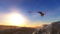 eagle flying over the sea at low altitude Royalty Free Stock Photo