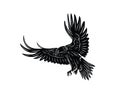 Eagle Flying Silhouette Royalty Free Stock Photo