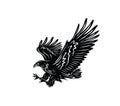 Eagle Flying Silhouette Royalty Free Stock Photo